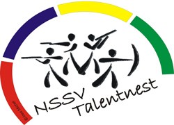 logo talentnest